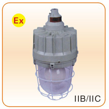 BCD61-系列-防爆無極燈