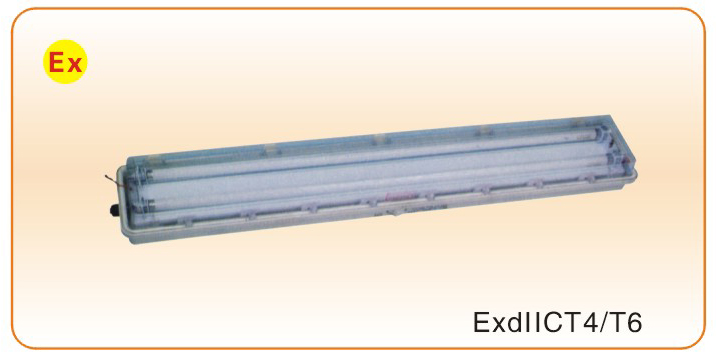 BYS-系列-防爆防腐全塑熒光燈